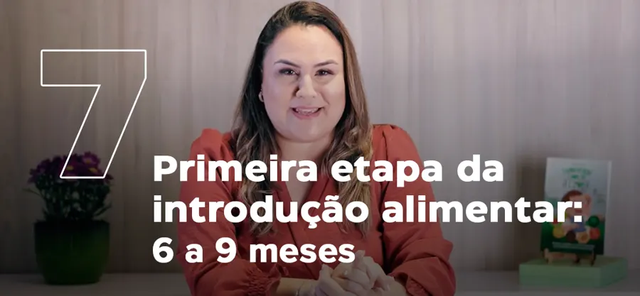 Módulo 7: Primeira etapa, de 6 a 9 meses